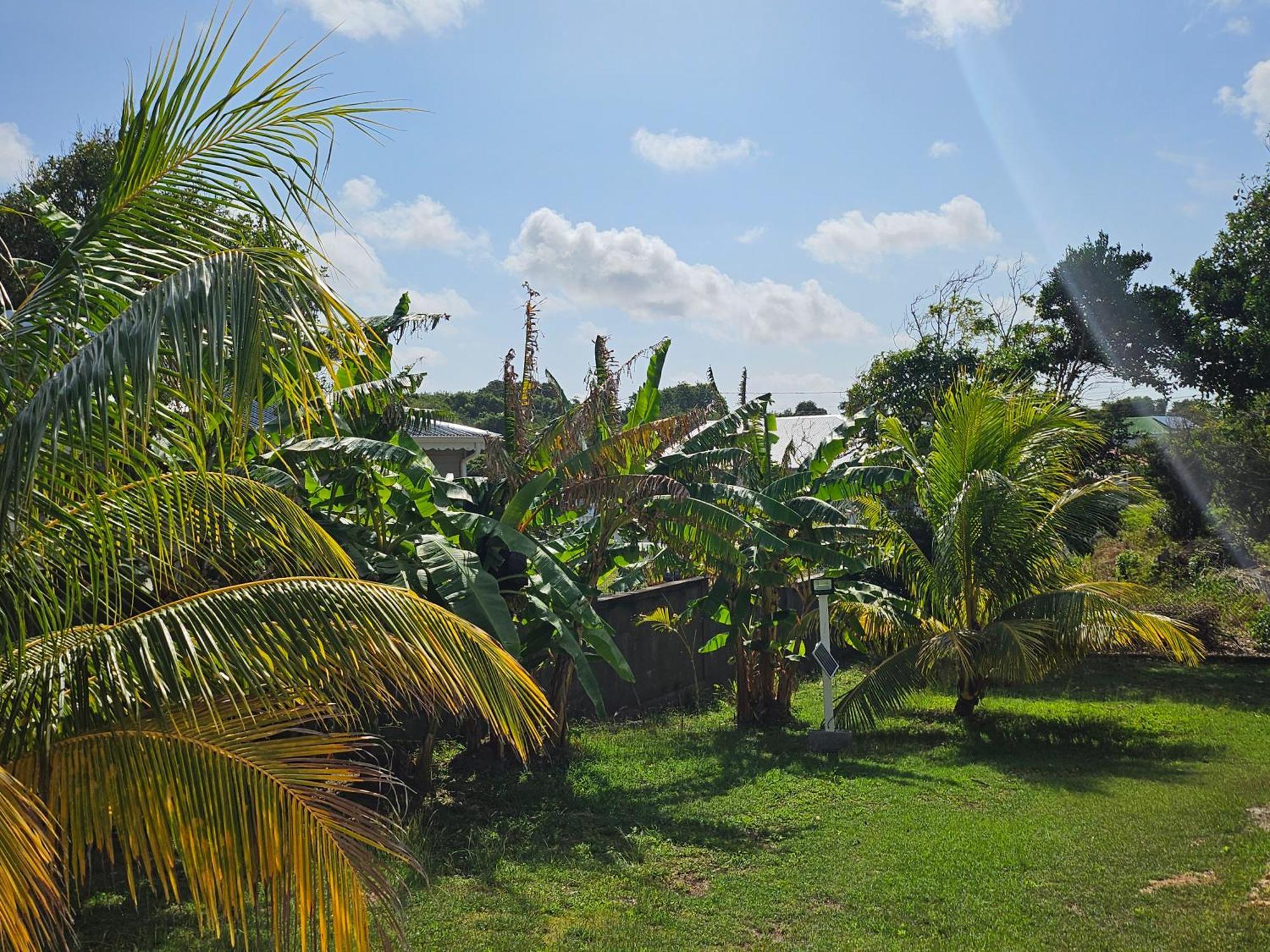 Bungalow Bo Sicrie Le Moule Buitenkant foto